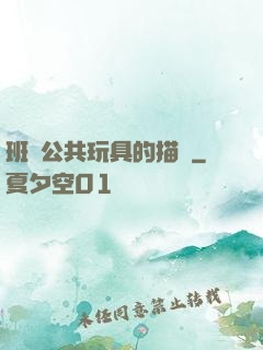 班級公共玩具的描寫