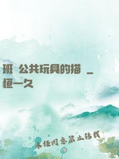 班級公共玩具的描寫