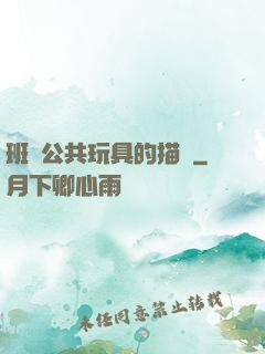 班級公共玩具的描寫