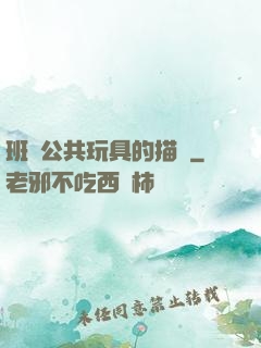班級公共玩具的描寫