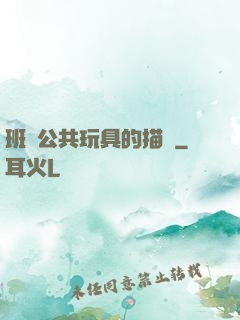 班級公共玩具的描寫
