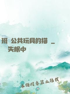 班級公共玩具的描寫