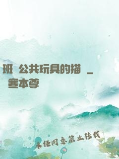 班級公共玩具的描寫