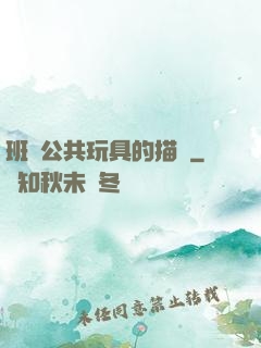 班級公共玩具的描寫