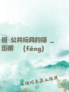 班級公共玩具的描寫