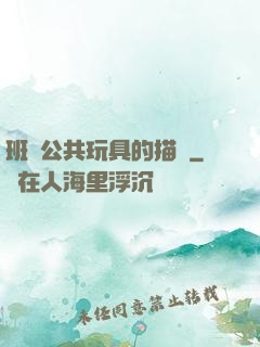 班級公共玩具的描寫