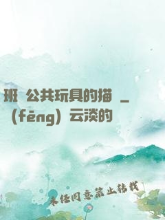 班級公共玩具的描寫