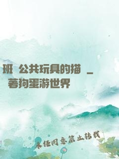 班級公共玩具的描寫