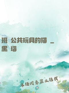 班級公共玩具的描寫