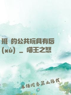 班級的公共玩具有后續(xù)嗎