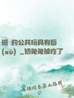 班級的公共玩具有后續(xù)嗎