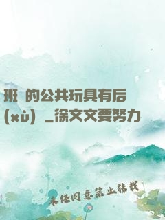 班級的公共玩具有后續(xù)嗎