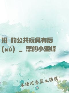 班級的公共玩具有后續(xù)嗎