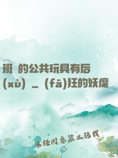 班級的公共玩具有后續(xù)嗎