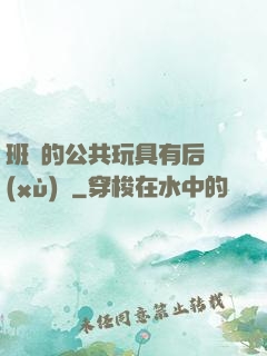 班級的公共玩具有后續(xù)嗎