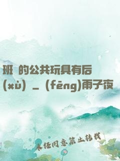 班級的公共玩具有后續(xù)嗎