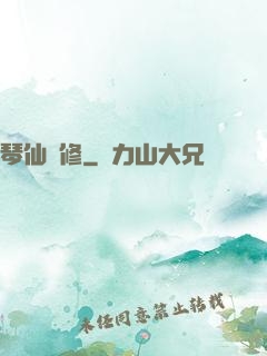 琴仙劍修