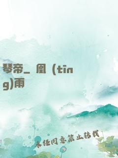 琴帝