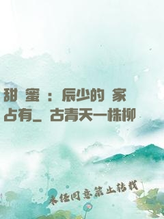 甜寵蜜戀：辰少的獨家占有