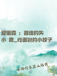 甜蜜霸寵：首席的失憶小嬌妻