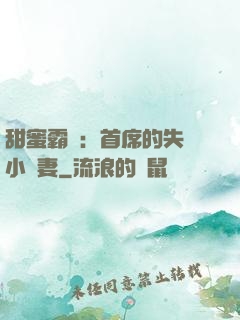 甜蜜霸寵：首席的失憶小嬌妻