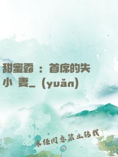 甜蜜霸寵：首席的失憶小嬌妻