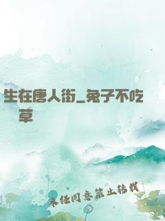 生在唐人街