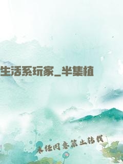 生活系玩家