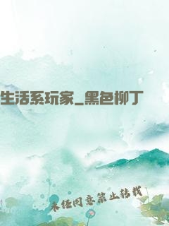 生活系玩家