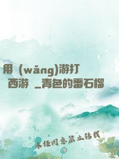 用網(wǎng)游打開西游記