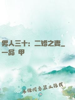 男人三十：二婚之妻