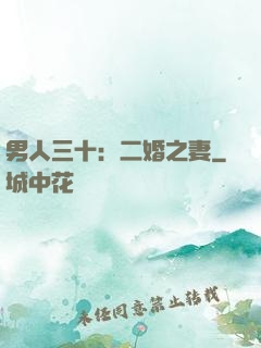 男人三十：二婚之妻
