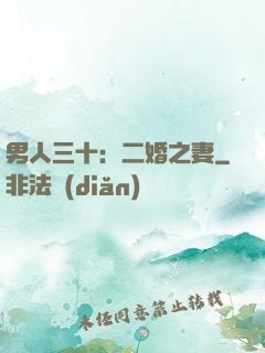 男人三十：二婚之妻