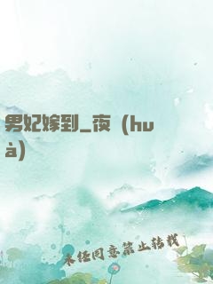 男妃嫁到