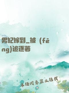 男妃嫁到