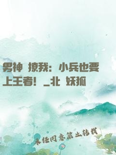 男神別撩我：小兵也要上王者！