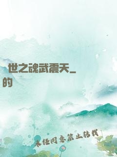 異世之魂武震天