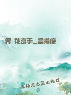 異界護花高手