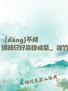 當(dāng)不成贅婿就只好命格成圣