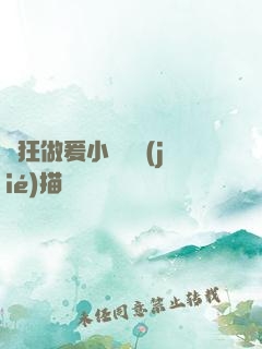瘋狂做爰小說細節(jié)描寫
