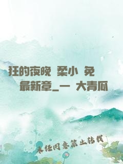 瘋狂的夜晚蘇柔小說免費閱讀最新章