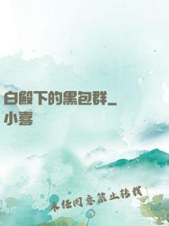 白殿下的黑包群