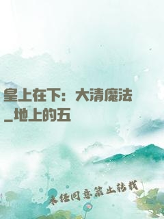 皇上在下：大清魔法師