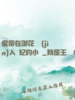 皇帝在御花園進(jìn)入貴妃的小說
