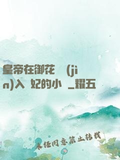 皇帝在御花園進(jìn)入貴妃的小說