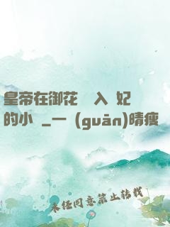 皇帝在御花園進入貴妃的小說