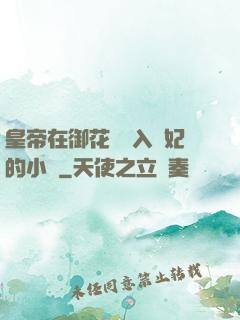 皇帝在御花園進入貴妃的小說
