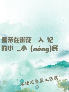 皇帝在御花園進入貴妃的小說