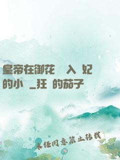 皇帝在御花園進入貴妃的小說