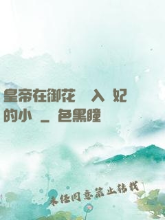 皇帝在御花園進入貴妃的小說